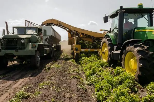 Improving Agricultural Waste Digestion Improving Agricultural Waste Digestion