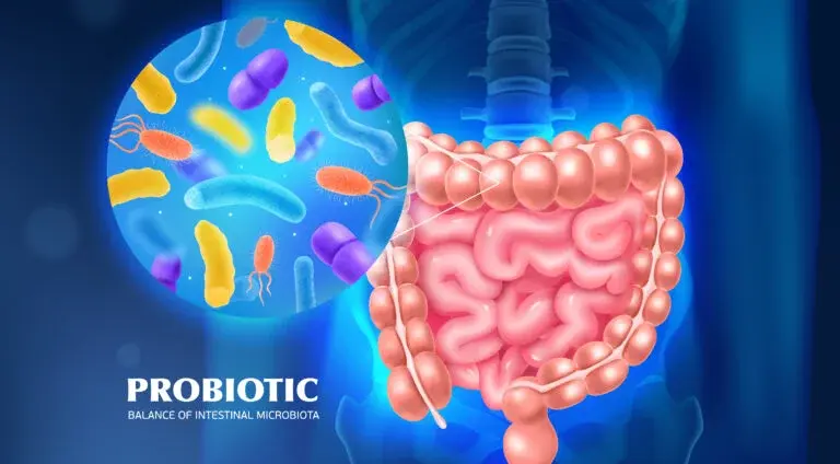 Improved Gut Health and Microbial Balance Improved Gut Health and Microbial Balance