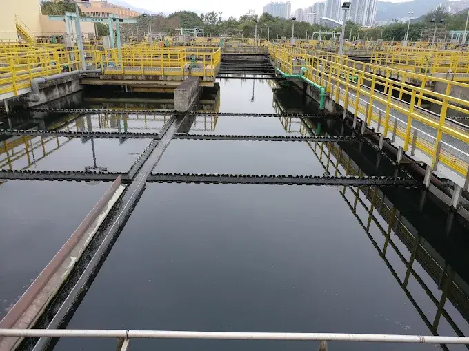 How Does Polyacrylamide Powder Improve Sludge Dewatering?