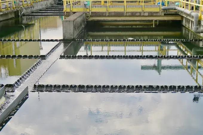 What Role Does Polyacrylamide Powder Play in Industrial Effluent Clarification?