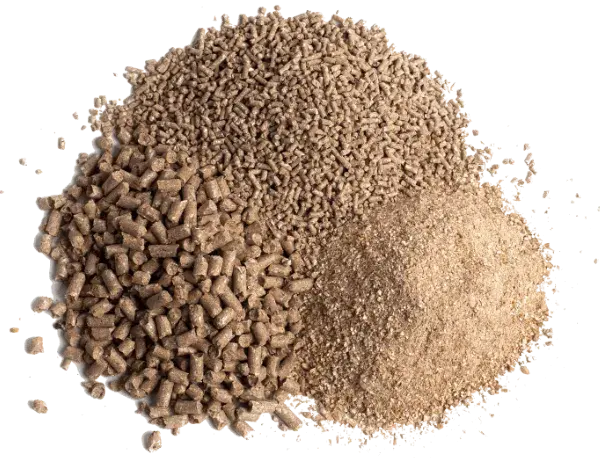 Why Is Calcium Formate Powder Considered an Effective Feed Acidifier?