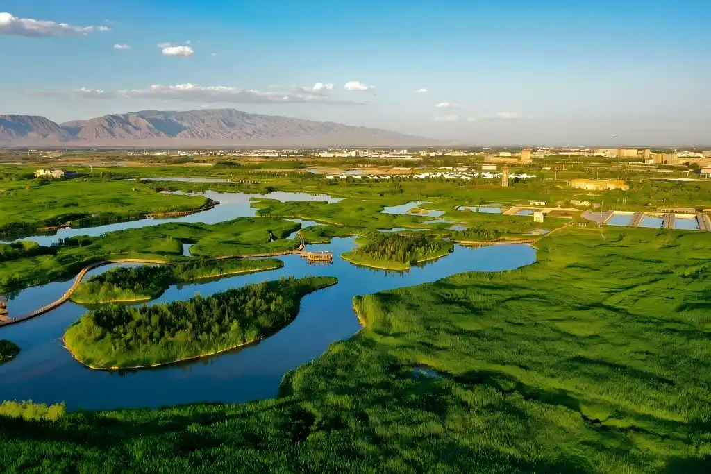 Environmental Impact Assessment