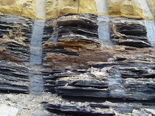 Shale Stabilization Mechanisms