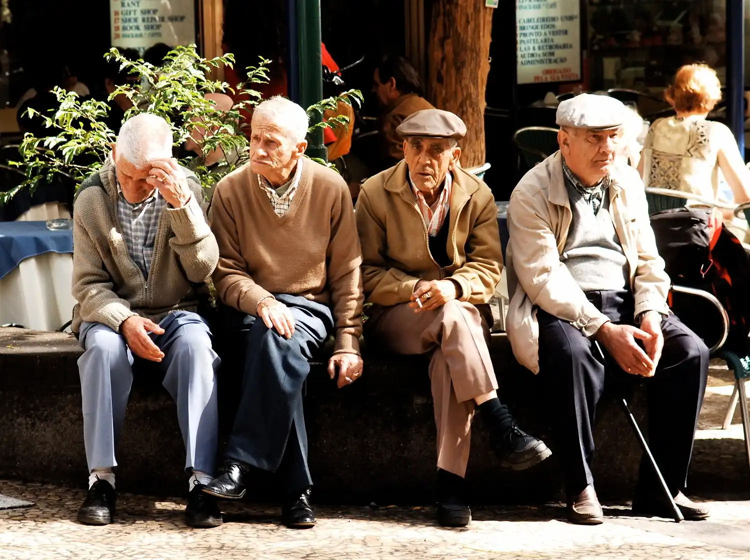 Research on Elderly Populations
