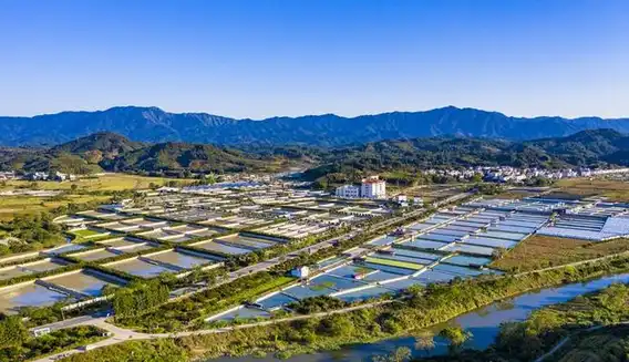 blog-1-1